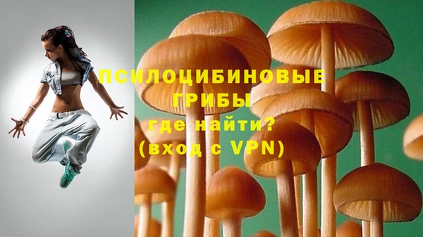 а пвп мука Бородино