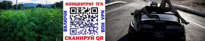 Купить закладки  Мичуринск  ТГК жижа 