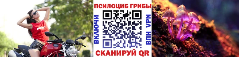 Галлюциногенные грибы ЛСД  Купить где  Мичуринск 